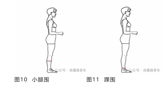 西藏自治区2025年普通高等学校招生艺术类（表<导>演类）专业报考简介