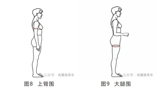 西藏自治区2025年普通高等学校招生艺术类（表<导>演类）专业报考简介