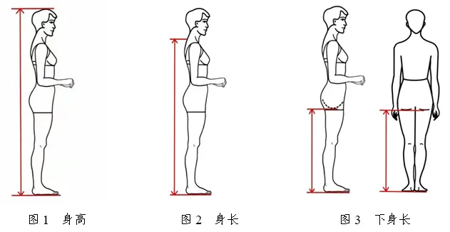 2026年天津市普通高等学校艺术类专业统一考试表（导）演类考试说明