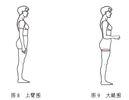 2026年天津市普通高等学校艺术类专业统一考试表（导）演类考试说明
