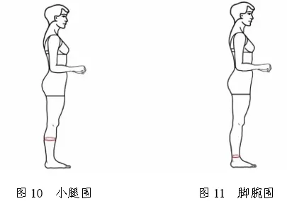 2026年浙江省普通高校招生表（导）演类服装表演方向专业统一考试报考简章